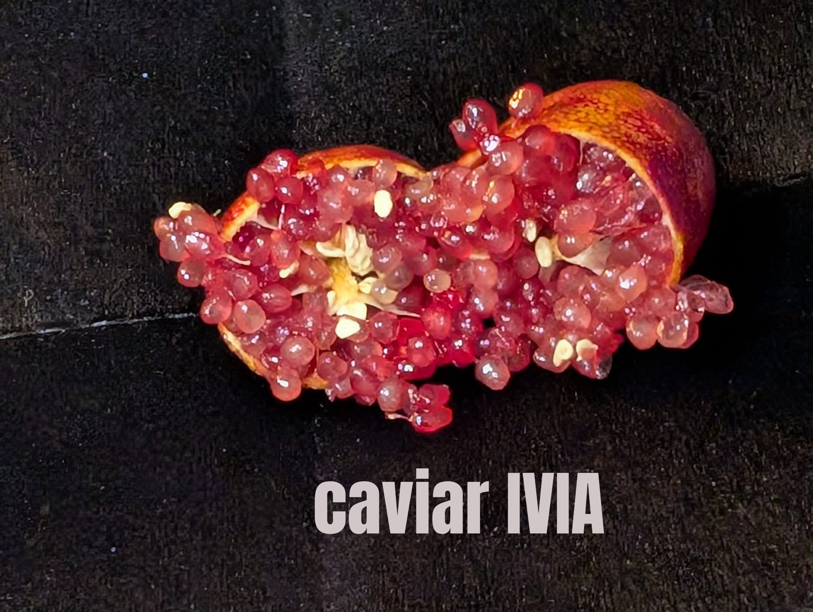 citron caviar IVIA (microcitrus australasica)