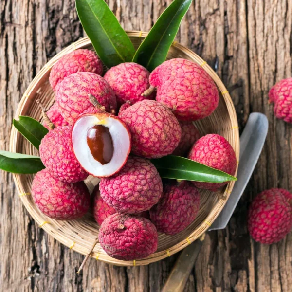 Acheter un litchi chinensis (grossiste)